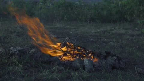 Camp Fire 库存影片 141917093