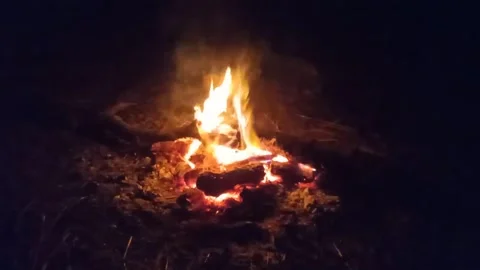 Camp fire 動画素材 160364730