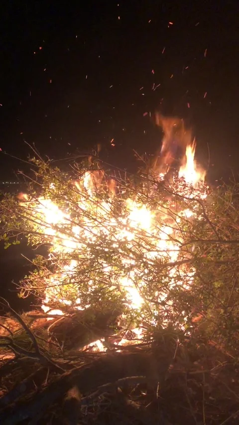 Camp Fire Stock Footage 287431415