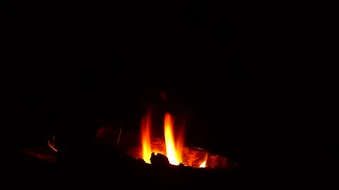 Camp fire Stock Footage 334439606