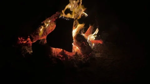 Camp Fire Vídeo Stock 341855233