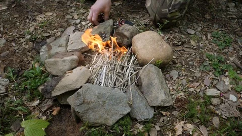 Camp Fire In Forest Stock Footage 91183082