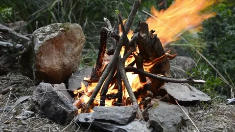 Camp fire in the forest Stock-Footage 139458957