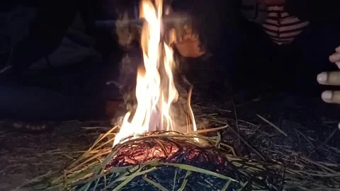 Camp fire in a forest Stock Footage 319573489