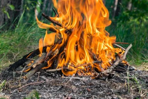Camp fire in the forest Stock Photos