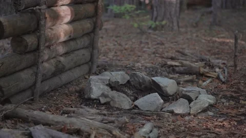 CAMP FIRE INTO THE FOREST SONY S-LOG2 4K Stock Footage 223668991