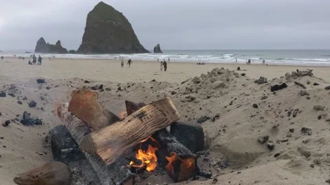 Camp Fire with Haystack Rock Stock-Footage 205257439