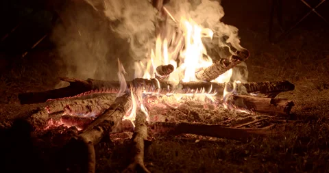 Camp fire, medium size Stock Footage 147325319