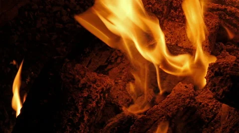 Camp fire at night close up Video stock 50188093