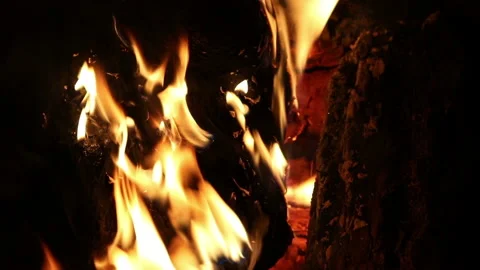 Camp fire at night, close up Stock Footage 204160318