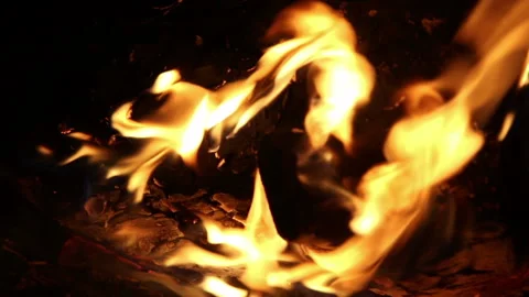 Camp fire at night, close up Stock Footage 204160364