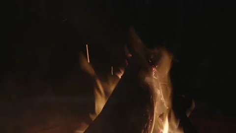 Camp fire at night close up Stock Footage 230991374