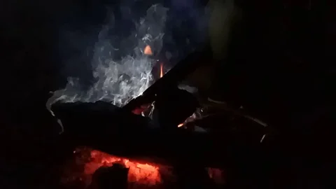 Camp fire at night close up. Slow motion. Stock Footage 115546442