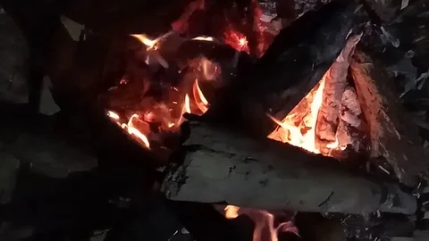 Camp fire at night close up. Slow motion. Stock Footage 115546457
