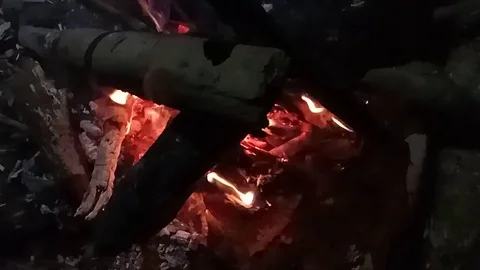Camp fire at night close up. Slow motion. Stock Footage 115546460