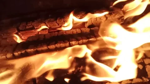 Camp fire at night close up. Slow motion. Stock Footage 115546496