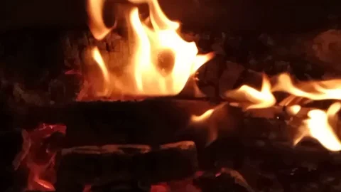Camp fire at night close up. Slow motion. Stock Footage 115546502