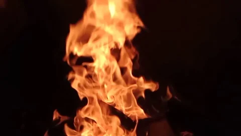 Camp fire at night close up. Slow motion. Stock Footage 117232101