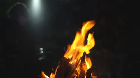 Camp fire in the night Stock Footage 68676039