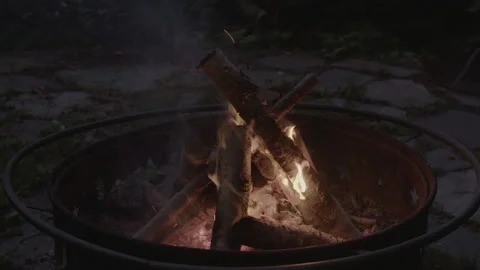 Camp fire at night Stock Footage 230990916