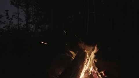 Camp fire at night Stock Footage 230991302