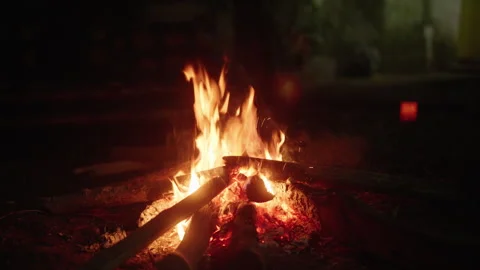 Camp Fire at Night Stock Footage 247679118