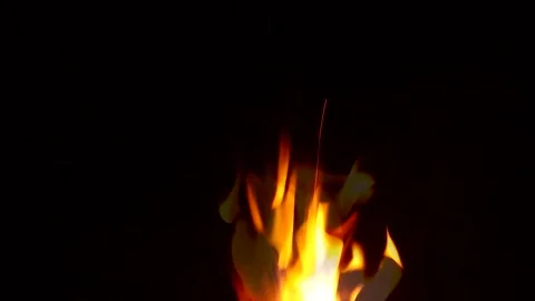 Camp fire in the night Stock Footage 334440134