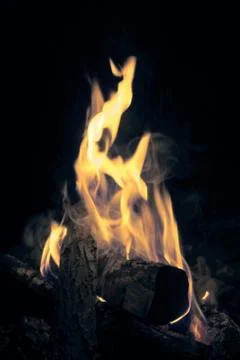 Camp fire in the night Stock Photos