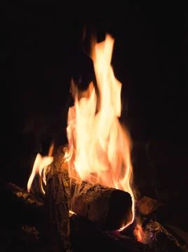 Camp fire in the night Stock Photos