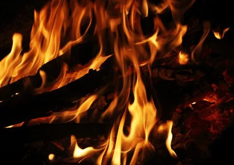 Camp fire in the night Stock Photos