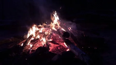 Camp fire at night Red River Gorge Kentucky call of Whip-poor-will Stock Footage 74663462