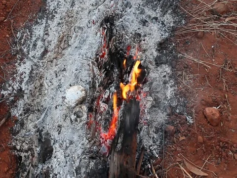 CAMP FIRE potatoes IN FOIL Stock Footage 100390266