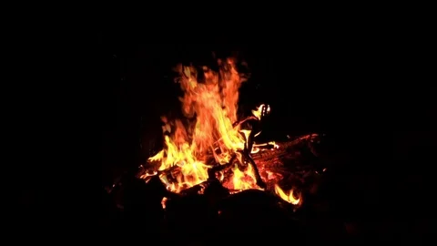 Camp fire Red River Gorge dark with sound of whip-poor-will Stock Footage 114145141