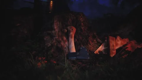 Camp Fire Scene UE5 動画素材 279688860