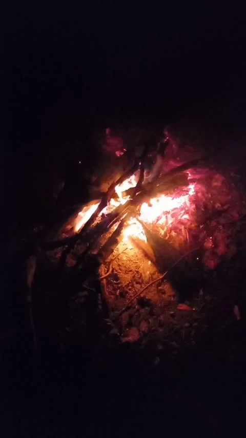 Camp Fire With Smoke Stock Footage 274290885
