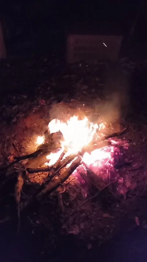 Camp Fire With Smoke Stock Footage 274291035