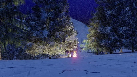 Camp Fire In The Snow Fall In Pine Forest At Night Stock Footage 236719133