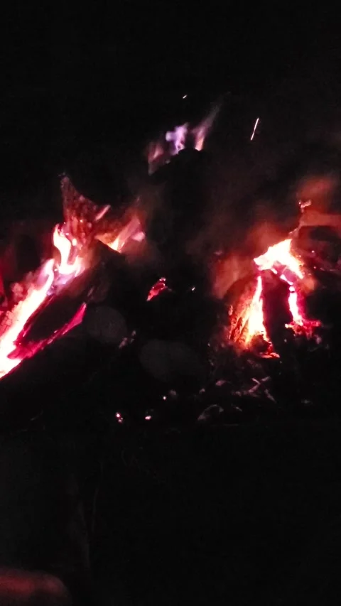 Camp fire video Stock Footage 179593310