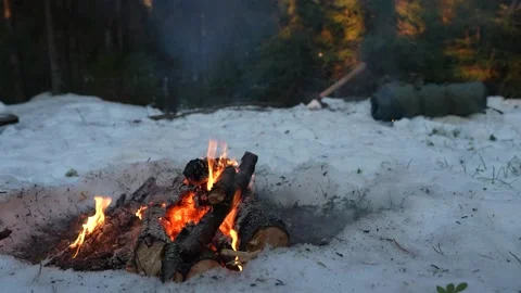 Camp fire in the winter forest Video stock 234321889