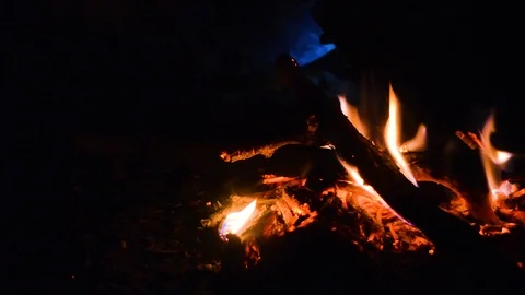 Camp fire woods burning during dark night Stock Footage 102781076