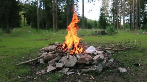 Camp fire in the woods Stock Footage 44557237