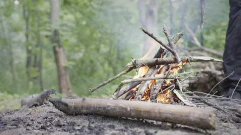 A camp fire in the woods Stock Footage 162876854