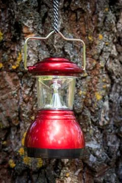 Camp lantern on cortex tree background Stock Photos