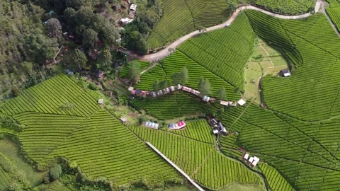 Camp Location Video stock 242145572