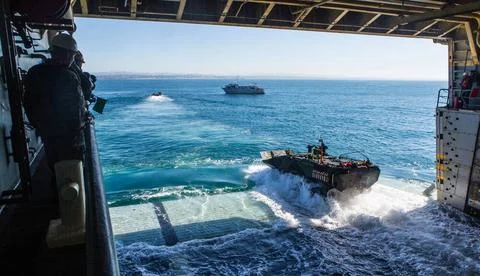 CAMP PENDLETON, Calif. (Jan. 28, 2019) Marines and sailors observe as Mari... Stock Photos