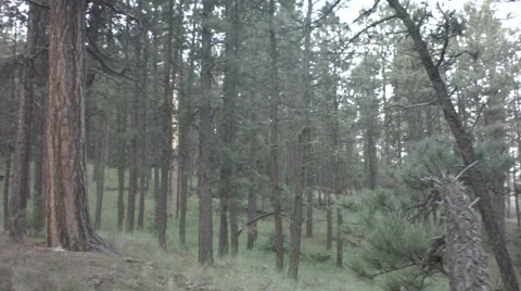 Camp site in the mountains Stock Footage 41832993