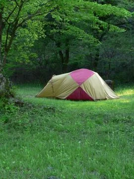Camp in summer forest Stock Photos