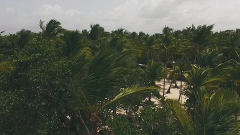 Camp in the tropical jungle Stock-Footage 73856916