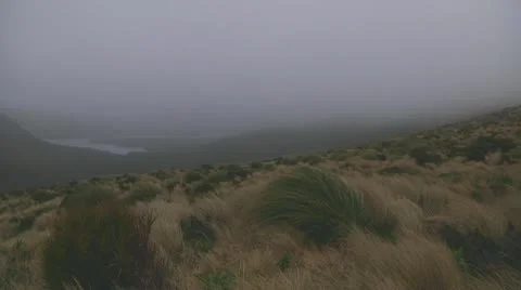 Campbell Island Stock Footage 10766978