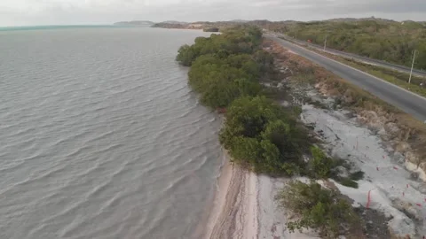 Campeche Stock-Footage 130423589